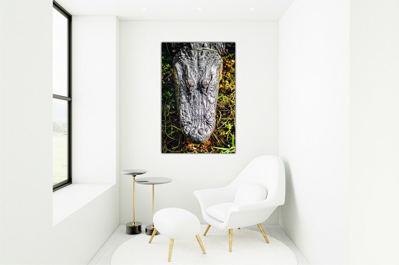 May include: A close-up of an alligator's head, showing its textured skin and eyes. The alligator is in a grassy area with green and yellow foliage.