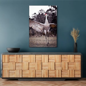 May include: A photograph of a sandhill crane with its wings spread wide, standing in a grassy field. The crane has a red crown on its head and is facing the camera.