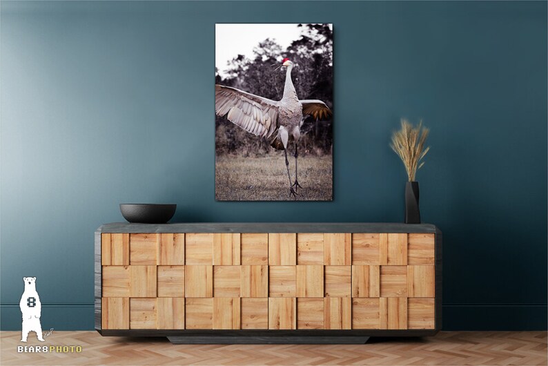 May include: A photograph of a sandhill crane with its wings spread wide, standing in a grassy field. The crane has a red crown on its head and is facing the camera.