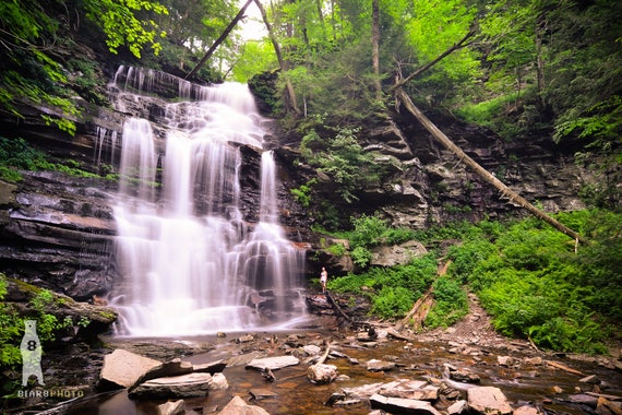 Ricketts Glen Nature Photography Cabin Decor Waterfall Etsy
