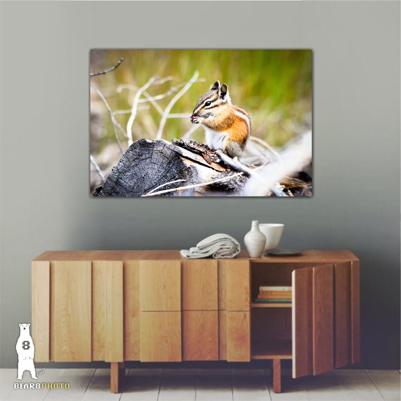 May include: A small chipmunk sits on a weathered log, eating a seed. The chipmunk is brown and white with a bushy tail. The background is a blurred green and brown.