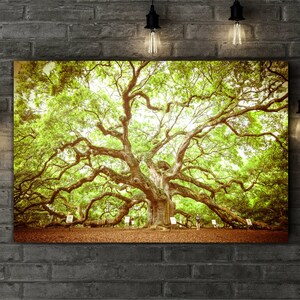 May include: A large, ancient oak tree with sprawling branches and lush green leaves. The tree is surrounded by a grassy area and a few people are visible in the distance.