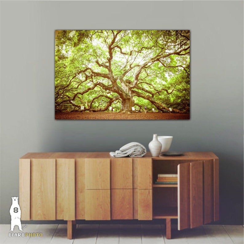 May include: A large, ancient oak tree with sprawling branches and lush green leaves. The tree is surrounded by a grassy area and a few small trees. The image has a vintage, sepia tone.