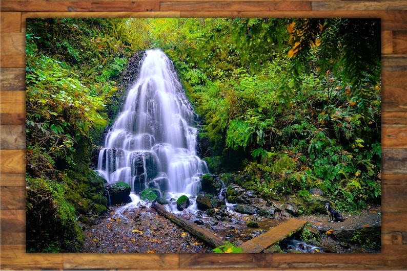 May include: A cascading waterfall flows over moss-covered rocks in a lush green forest. The water is clear and white, and the surrounding foliage is vibrant.