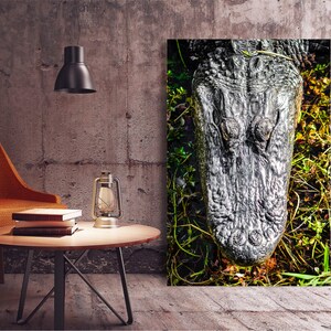 May include: Close-up of an alligator's head with its mouth closed, showing its textured skin and eyes. The alligator is partially submerged in green vegetation.