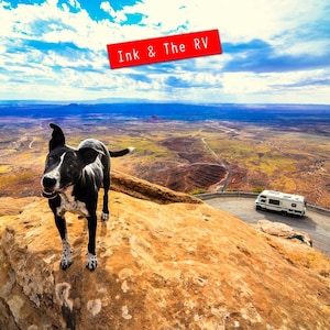 May include: A black and white dog stands on a rocky cliff overlooking a vast desert landscape. The dog is looking towards the camera with a happy expression. A white RV is parked on a winding road in the distance. The text "Ink & The RV" is written in red on a white banner.