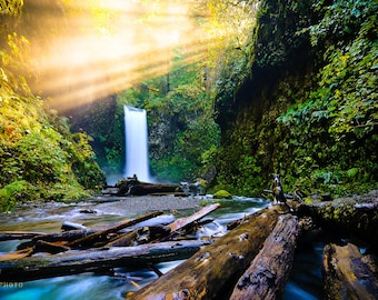 Wiesendanger Falls, Oregon Waterfalls, Columbia River Gorge, Pacific Northwest Nature Wall Art Available as Paper, Canvas, & Metal Prints