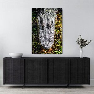 May include: A close-up of an alligator's head, showing its textured skin and closed eyes. The alligator is lying in a bed of green grass and vines.