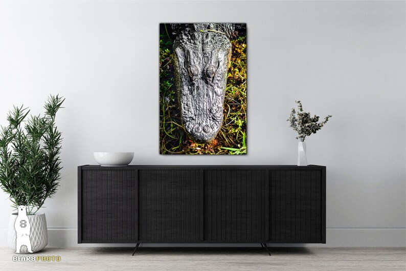 May include: A close-up of an alligator's head, showing its textured skin and closed eyes. The alligator is lying in a bed of green grass and vines.