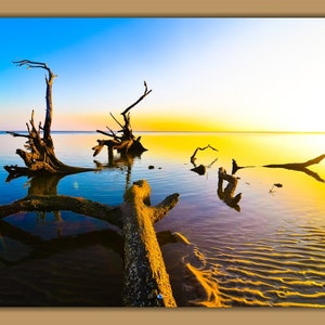 May include: A scenic landscape photograph of a beach at sunset with a large, weathered tree trunk partially submerged in the water. The water is a vibrant blue and yellow, reflecting the colors of the sky. The tree trunk is a dark brown and has many branches.