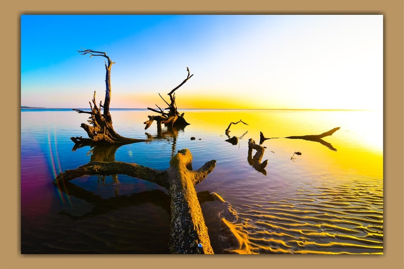 May include: A scenic landscape photograph of a beach at sunset with a large, weathered tree trunk partially submerged in the water. The water is a vibrant blue and yellow, reflecting the colors of the sky. The tree trunk is a dark brown and has many branches.