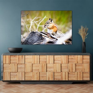 May include: A close-up of a chipmunk sitting on a log, eating a nut. The chipmunk is brown and white with a bushy tail. The log is brown and weathered. The background is a blurred green and brown.