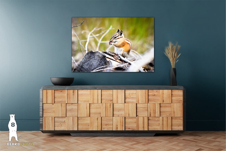 May include: A close-up of a chipmunk sitting on a log, eating a nut. The chipmunk is brown and white with a bushy tail. The log is brown and weathered. The background is a blurred green and brown.