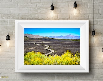 Craters of the Moon National Monument, Idaho - Landscape Wall Art - Available as Paper, Canvas, & Metal Fine Art Prints