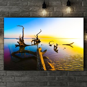 May include: A scenic photograph of a sunrise over a body of water with several dead trees in the water. The water is a vibrant blue and green, and the sky is a mix of orange, yellow, and blue. The sun is setting in the distance, casting a golden glow over the scene.