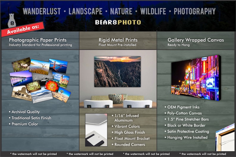 May include: A collage of images showcasing different print options for photographs. The options include photographic paper prints, rigid metal prints, and gallery wrapped canvas prints. The text "BEAR8PHOTO" is displayed at the top of the image.