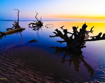 Boneyard Beach Sunrise Print: Big Talbot Island, Florida
