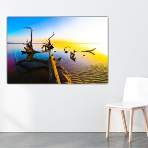 May include: A photograph of a large, weathered tree trunk lying in shallow water at sunset. The water is a vibrant blue and yellow, reflecting the colors of the sky. The tree trunk is silhouetted against the setting sun, creating a dramatic scene.