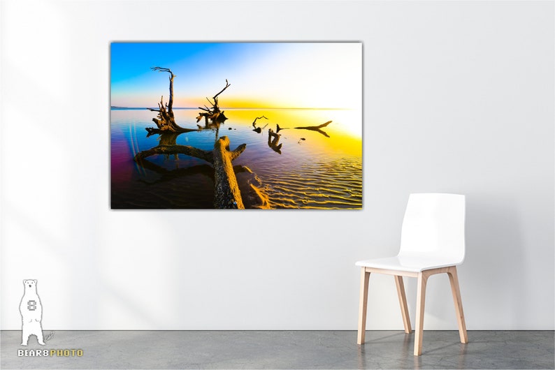 May include: A photograph of a large, weathered tree trunk lying in shallow water at sunset. The water is a vibrant blue and yellow, reflecting the colors of the sky. The tree trunk is silhouetted against the setting sun, creating a dramatic scene.