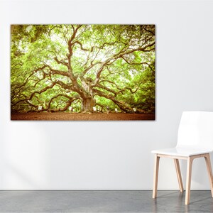 May include: A large, ancient oak tree with sprawling branches and lush green leaves. The tree is surrounded by a grassy area and a few small trees. The image has a vintage, sepia tone.