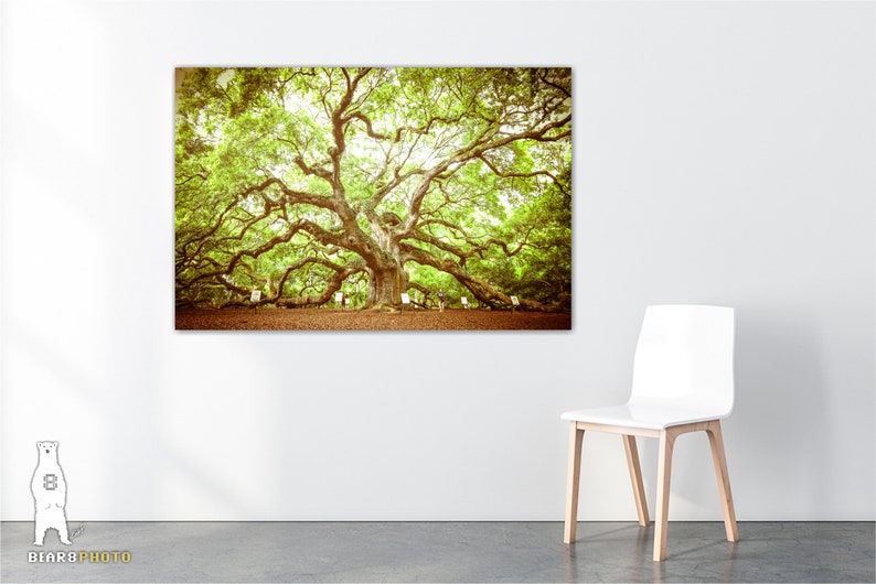 May include: A large, ancient oak tree with sprawling branches and lush green leaves. The tree is surrounded by a grassy area and a few small trees. The image has a vintage, sepia tone.