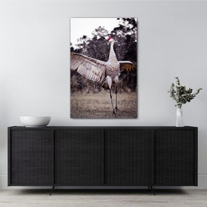 May include: A sandhill crane with its wings spread wide, standing in a grassy field with trees in the background. The crane has a red crown on its head and is facing the camera.