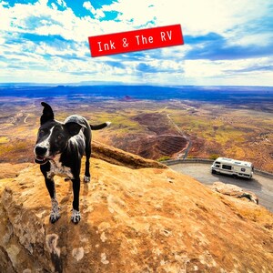 May include: A black and white dog stands on a rocky cliff overlooking a vast desert landscape. The dog is looking towards the camera with a happy expression. A white RV is parked on a winding road in the distance. The text "Ink & The RV" is written in red on a white banner.