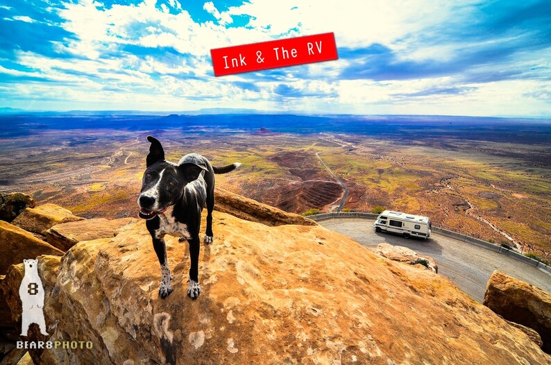 May include: A black and white dog stands on a rocky cliff overlooking a vast desert landscape. The dog is looking towards the camera with a happy expression. A white RV is parked on a winding road in the distance. The text "Ink & The RV" is written in red on a white banner.