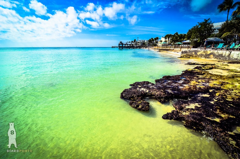 Key West Tropical Wall Art Florida Coastal Photography Available as Paper, Canvas, & Metal Fine Art Prints image 8