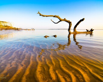 Boneyard Beach Photography Print: Big Talbot Island Fine Art