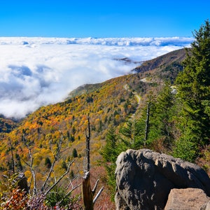 May include: A scenic view from a mountaintop, with a winding road snaking through a forest of fall foliage. The valley below is blanketed in a sea of white clouds.