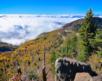 Waterrock Knob - Sea of Clouds - Blue Ridge Parkway - Fall Landscape Photography Prints Available as Paper, Canvas, & Metal Fine Art Prints