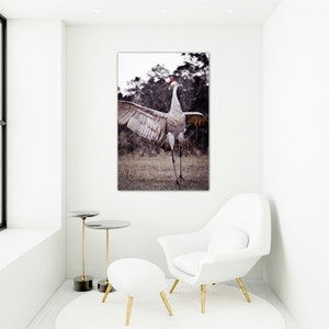 May include: A photograph of a sandhill crane with its wings spread wide, standing in a field. The crane has a red crown on its head and is facing the camera.