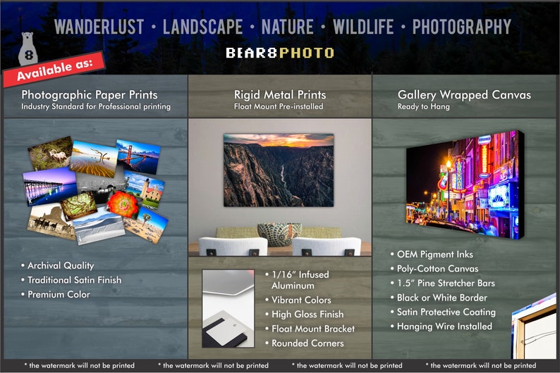 May include: A collage of images showcasing different print options for photographs. The options include photographic paper prints, rigid metal prints, and gallery wrapped canvas prints. The text "BEAR8PHOTO" is displayed at the top of the image.