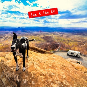 May include: A black and white dog stands on a rocky cliff overlooking a vast desert landscape. The dog is looking towards the camera with a happy expression. A white RV is parked on a winding road in the distance. The text "Ink & The RV" is written in red on a white banner.