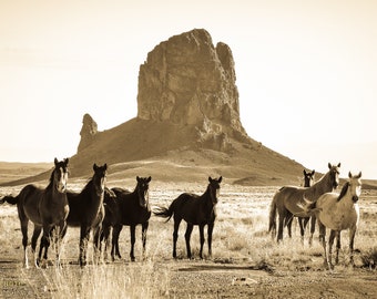 Wild Horses Sepia Print: Monument Valley Arizona Landscape