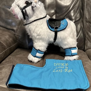 Könnte beinhalten: Ein weißes Plüschpferd mit schwarzem Zaumzeug, Sattel und Gamaschen. Das Pferd hat eine schwarze Mähne und eine weiße Blume auf dem Kopf. Eine blaue Decke mit dem Text "DUKE Loved by Lexi-Rae" liegt darunter.