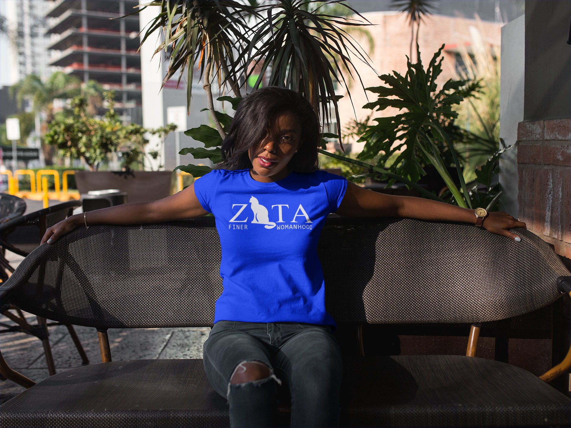 Zeta Phi Beta|  Finer Womanhood  | Zeta Phi Beta Shirt Greek T Shirts