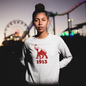 Trunks up Delta Sigma Theta inspired  **free shipping**