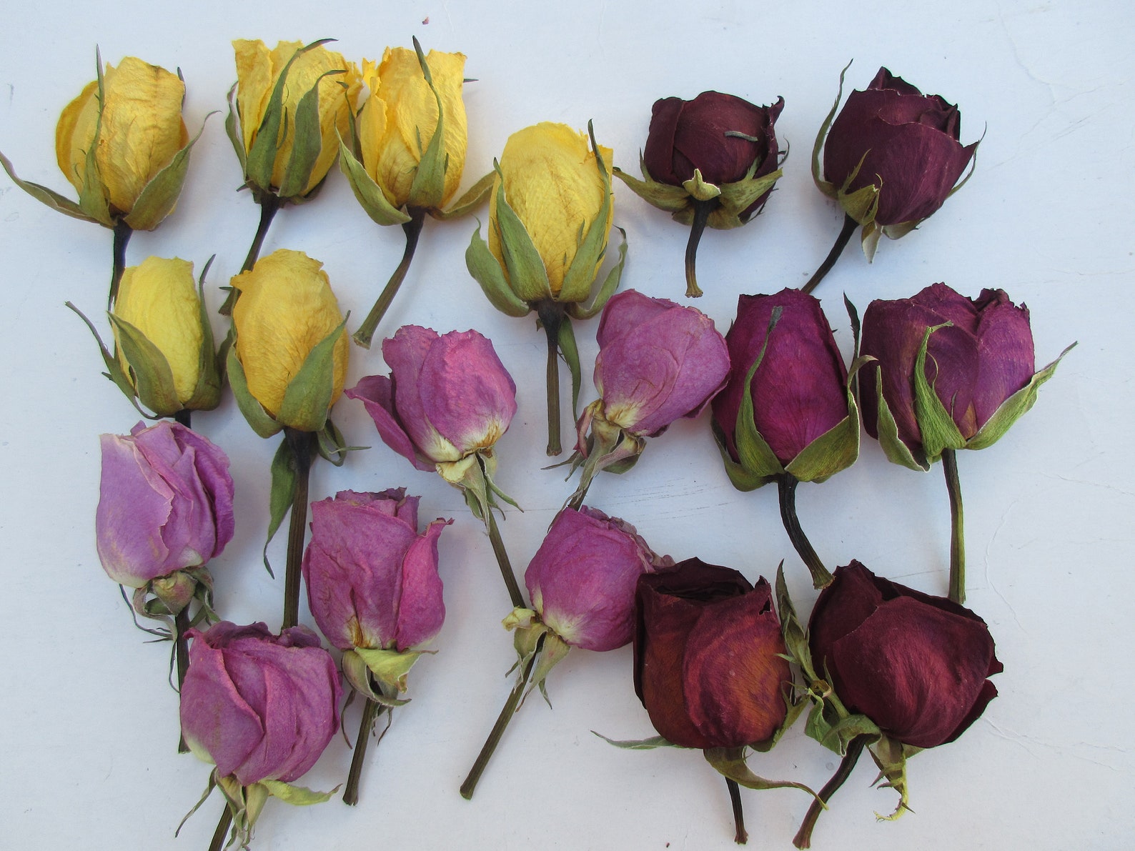 SALE 20PC Dried Whole Roses Dry Flowers Biodegradable Bulk Lot Etsy