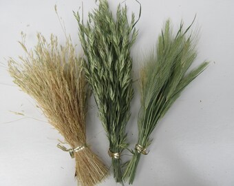 Dried grass stems bunch dry wild grass flower seeds wreath embellishment grass decoration dried wildflowers for crafts biodegradable