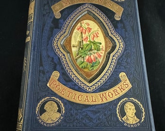C1870 John Milton's Paradise Lost Book Poetical Works Landscape Series of Poets  Rare Victorian Antique Book
