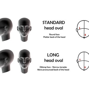 May include: Diagram showing two different head shapes: standard head oval with a round face and a flatter back of the head, and long head oval with an oblong face, narrow temples, and a more pronounced back of the head.