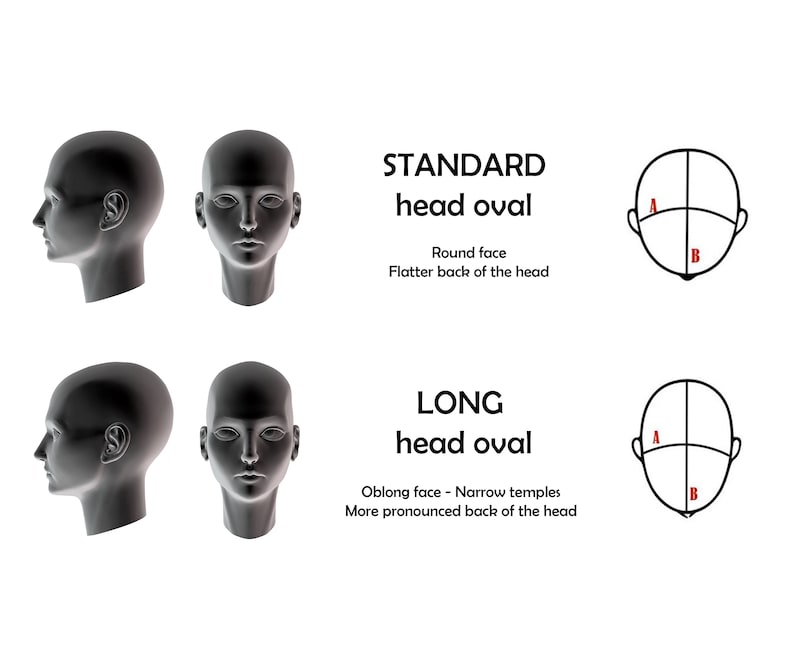 May include: Diagram showing two different head shapes: standard head oval with a round face and a flatter back of the head, and long head oval with an oblong face, narrow temples, and a more pronounced back of the head.