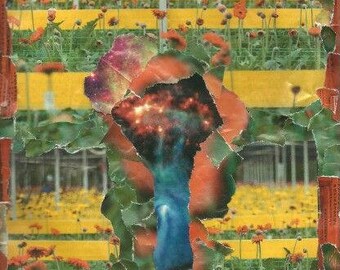 Collage (Poppy field nebula)