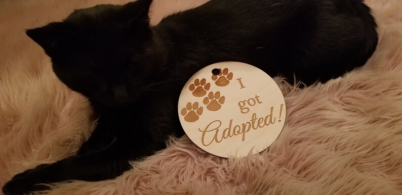 Christmas Gift Custom Engraved I Got Adopted Photo Prop Pet Milestone Pet Plaque