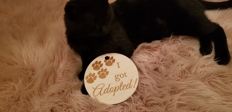 Christmas Gift Custom Engraved I Got Adopted Photo Prop Pet Milestone Pet Plaque