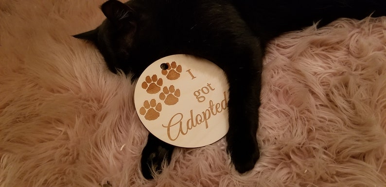 Christmas Gift Custom Engraved I Got Adopted Photo Prop Pet Milestone Pet Plaque