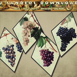 Grape Tags for Wine Giving