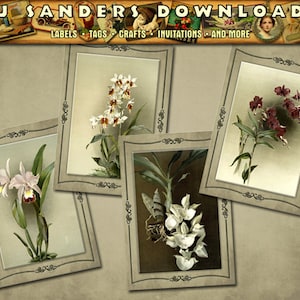 Vintage Orchid Gift Tags Digital Download